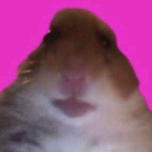 Meet your Posher, Sal